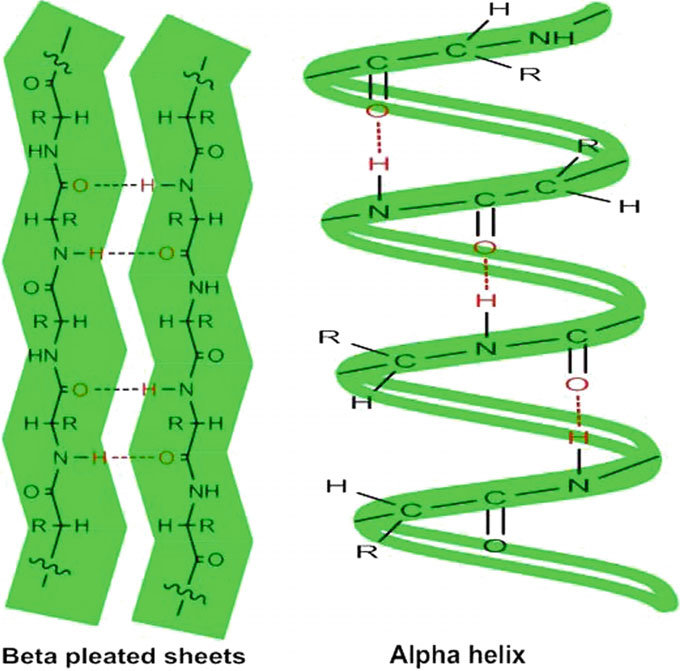 סוגים שונים של שיער by mai zuaretz - Ourboox.com