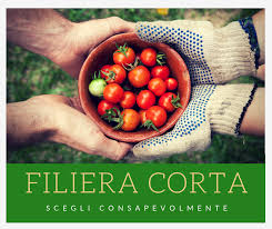 EDUCAZIONE CIVICA by m.grazia semplice - Ourboox.com