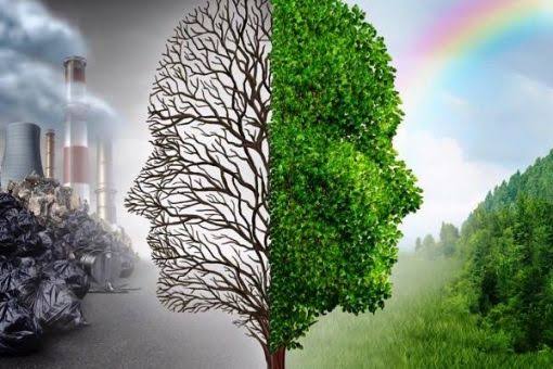 Basında iklim değişikliği by İrem - Ourboox.com