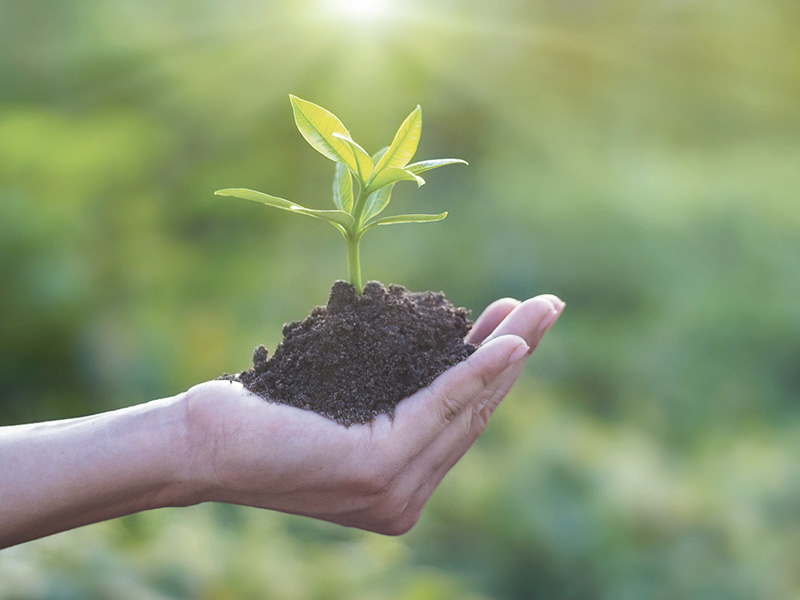 EDUCAZIONE CIVICA by Michela Mennillo - Ourboox.com