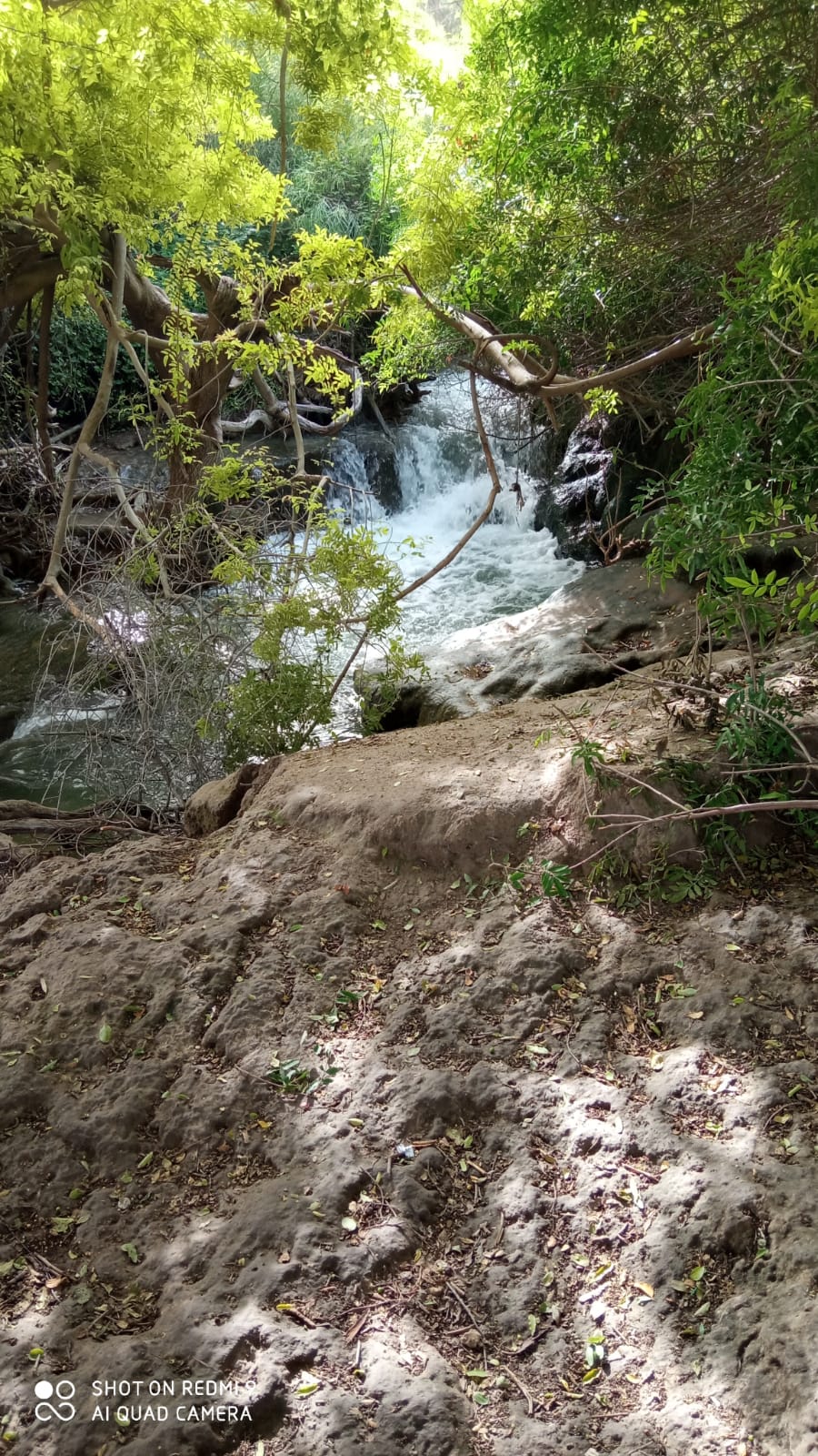 טיול בעמק המעיינות by iris biran - Ourboox.com