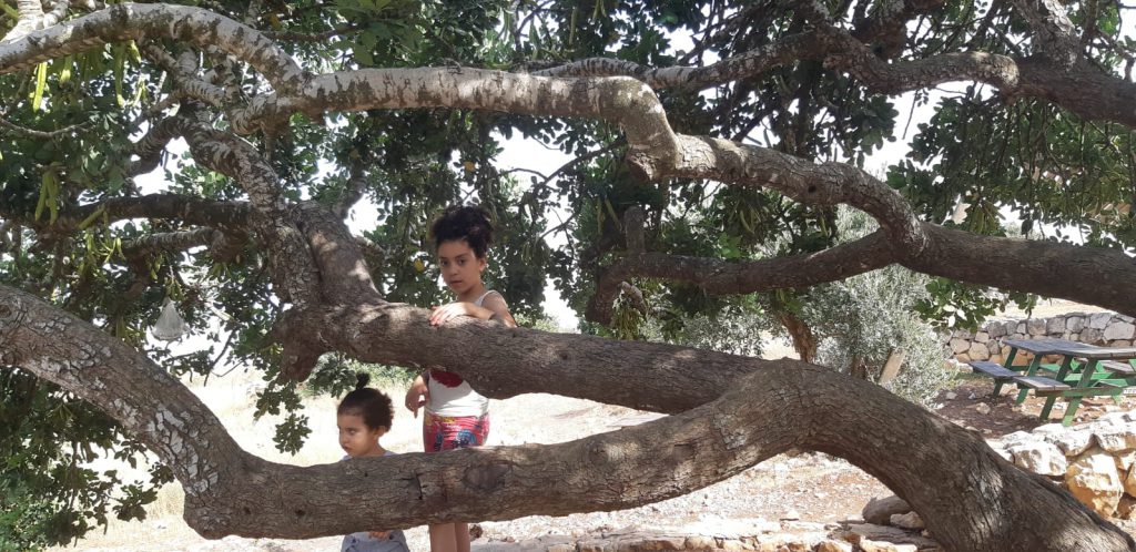 הטבע by ola melhem - Ourboox.com