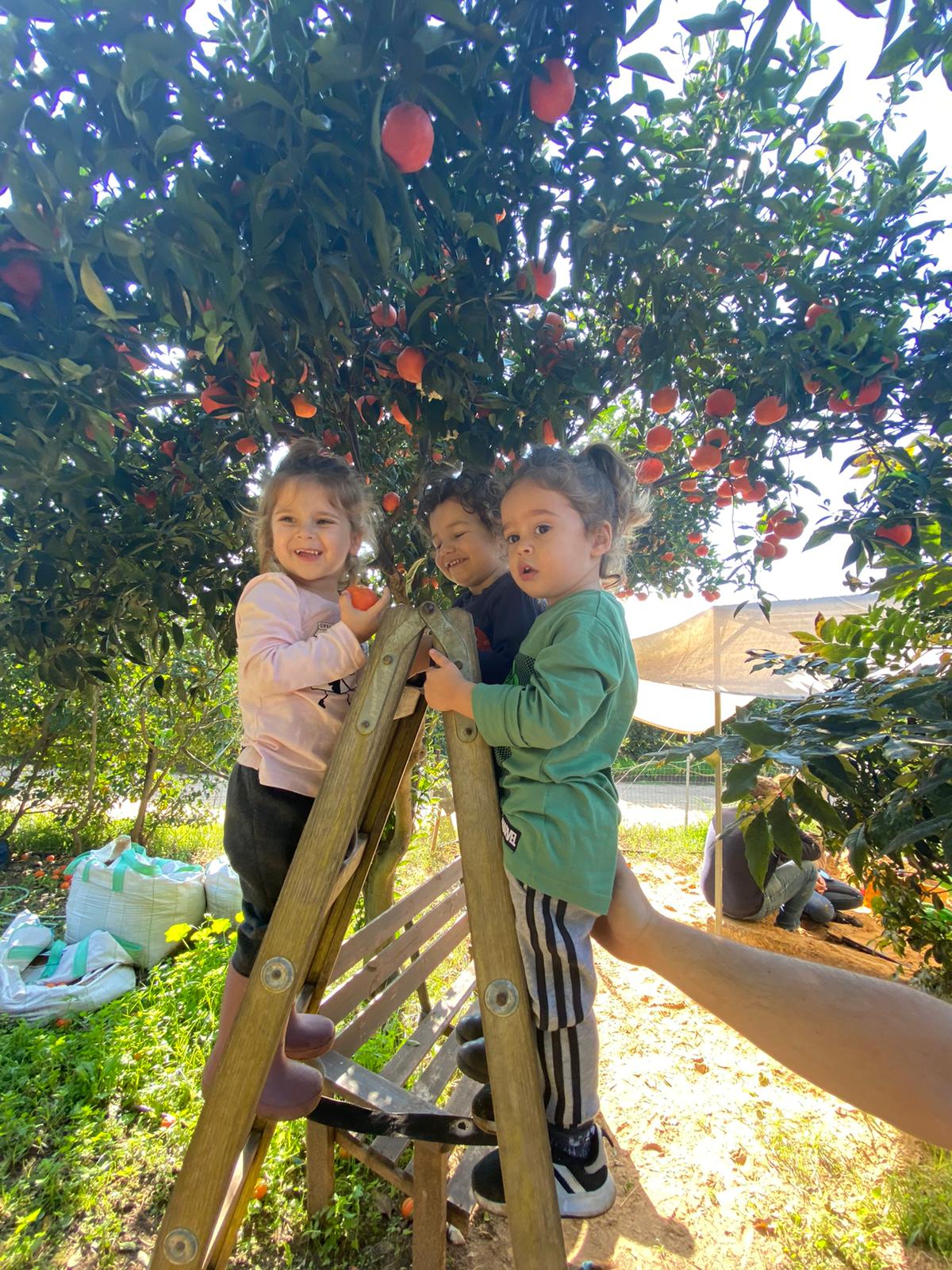 שבת משפחתית במשק הלברכט ביתן אהרון by idan shimon - Illustrated by עידן שמעון - Ourboox.com