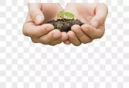 בלמידה התלמידים צומחים