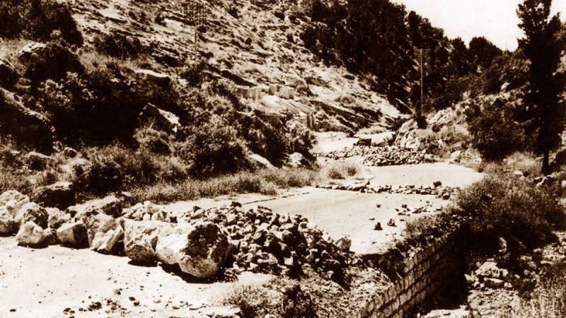 אורז by sharona Givol - Illustrated by שרונה גבעול - Ourboox.com