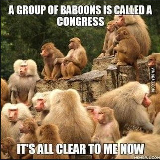 The amazing amazon by alon belkin - Ourboox.com