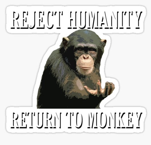 The amazing amazon by alon belkin - Ourboox.com