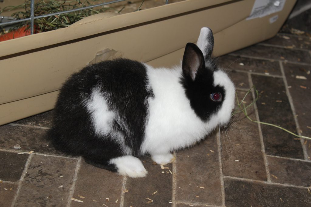 Minu pere ja lood by Emily Spiridonova - Ourboox.com