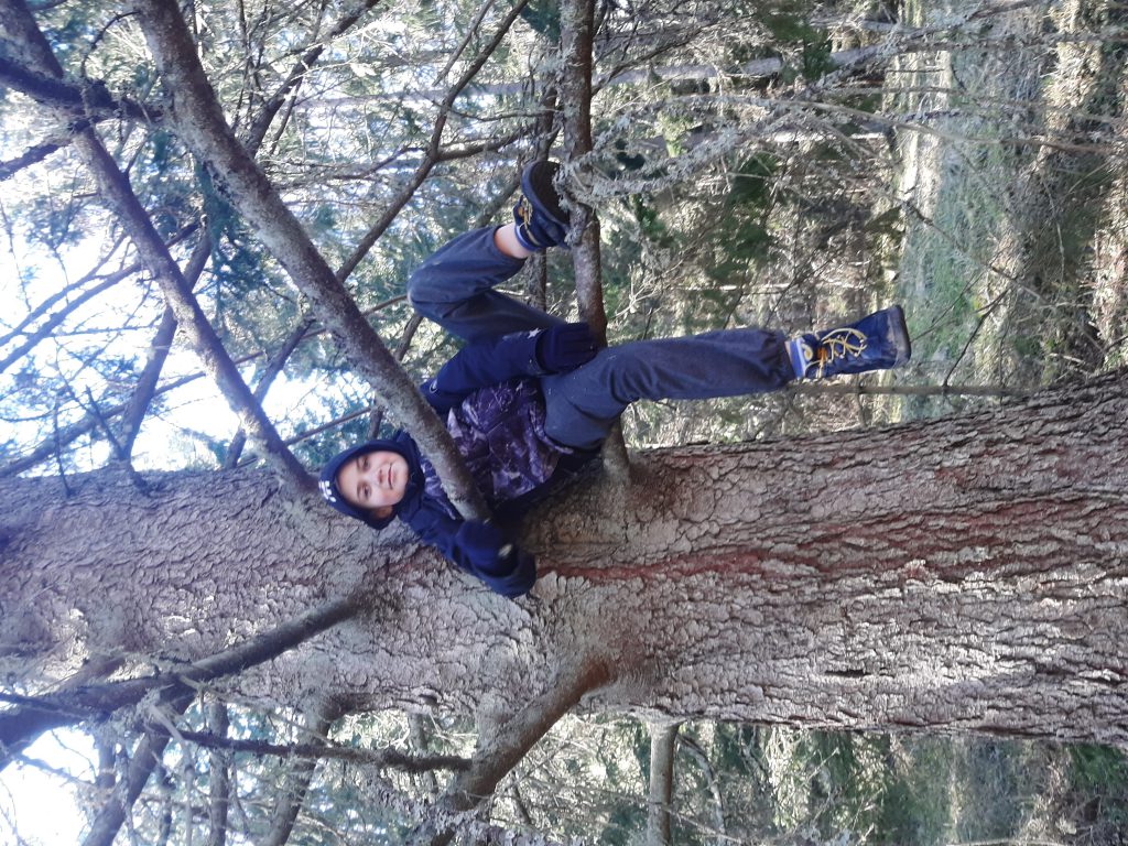 Minu pere ja kodu lood by Stefan Madrus - Ourboox.com