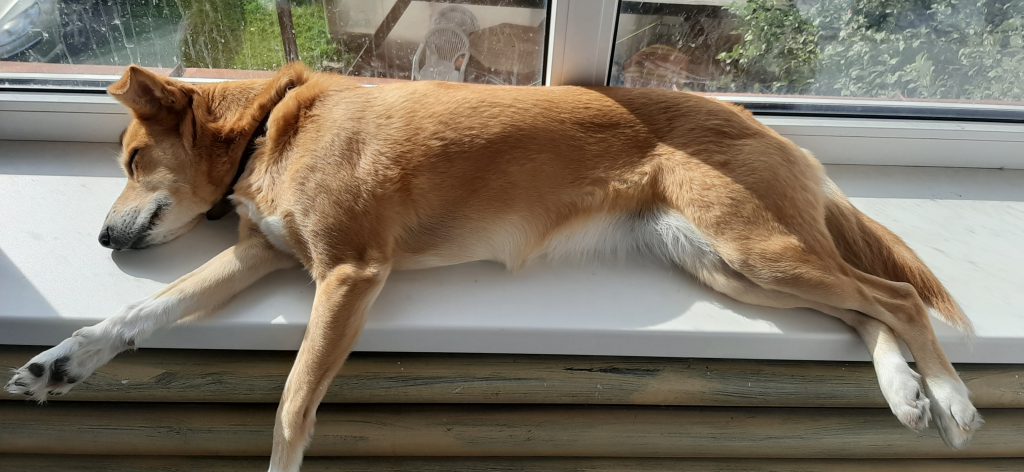 Minu pere ja kodu lood by Stefan Madrus - Ourboox.com