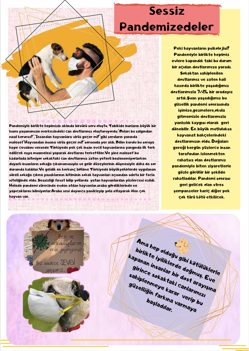 SOKAKTAKİ CAN by yaşarberk - Ourboox.com