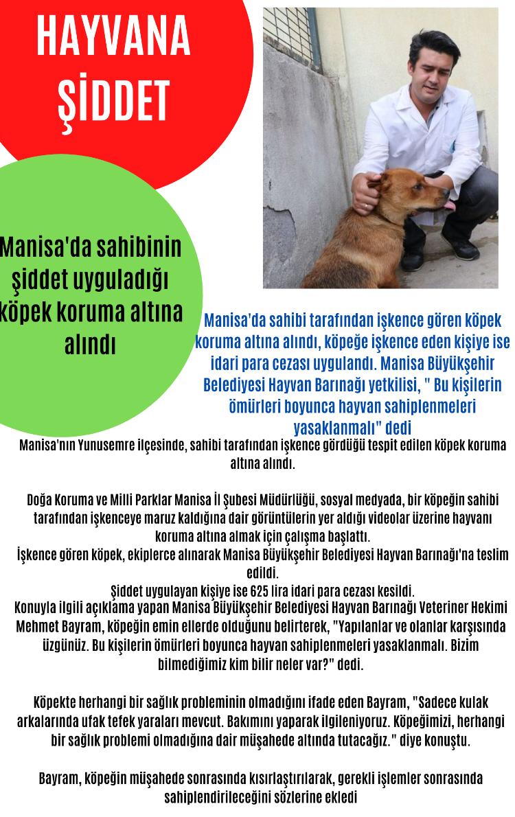 SOKAKTAKİ CAN by yaşarberk - Ourboox.com