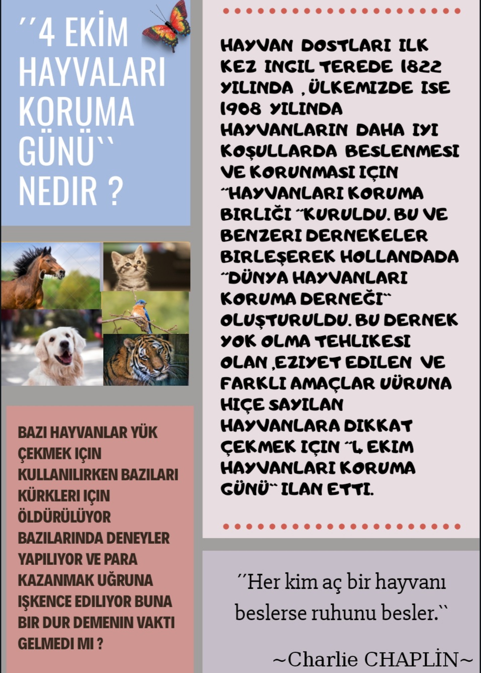 SOKAKTAKİ CAN by yaşarberk - Ourboox.com