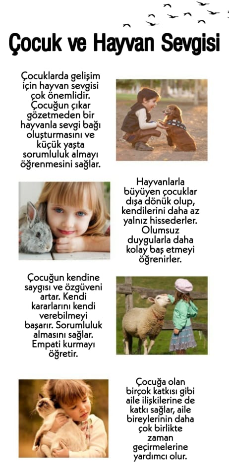 SOKAKTAKİ CAN by yaşarberk - Ourboox.com