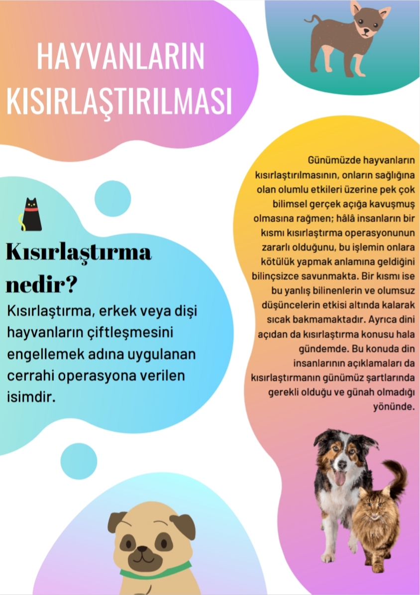 SOKAKTAKİ CAN by yaşarberk - Ourboox.com