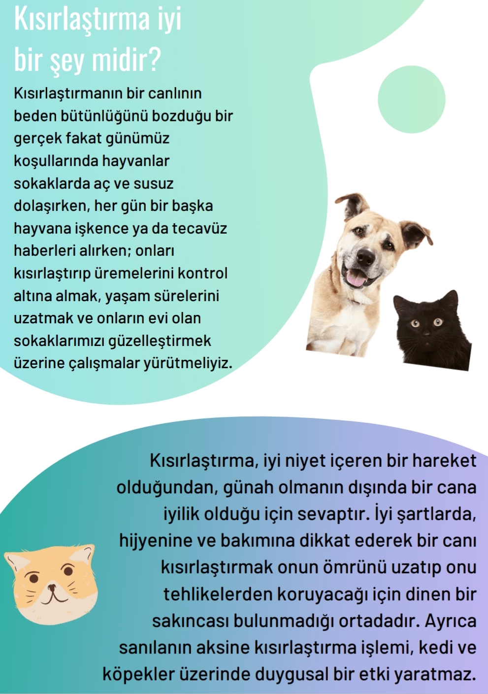 SOKAKTAKİ CAN by yaşarberk - Ourboox.com