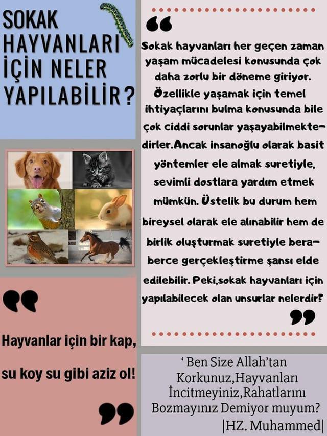 SOKAKTAKİ CAN by yaşarberk - Ourboox.com