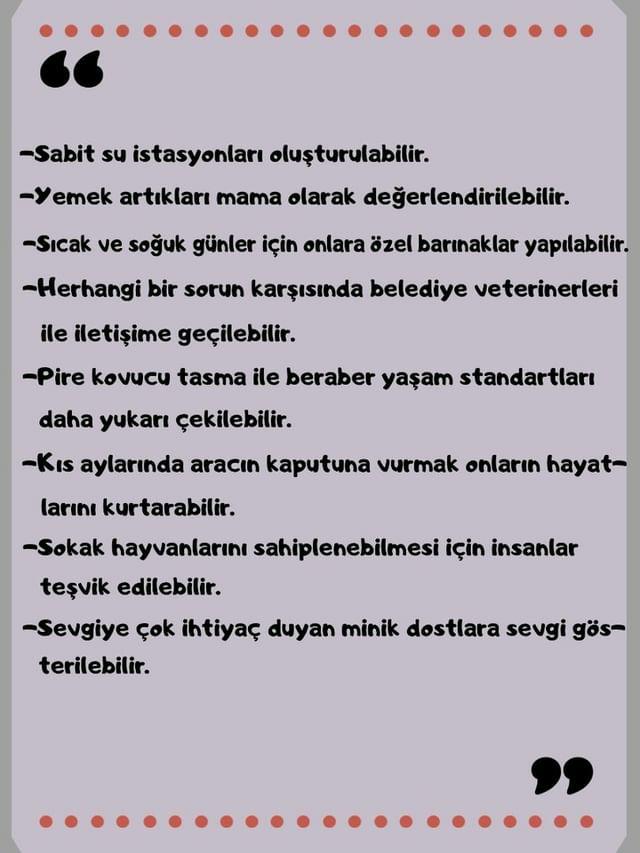 SOKAKTAKİ CAN by yaşarberk - Ourboox.com