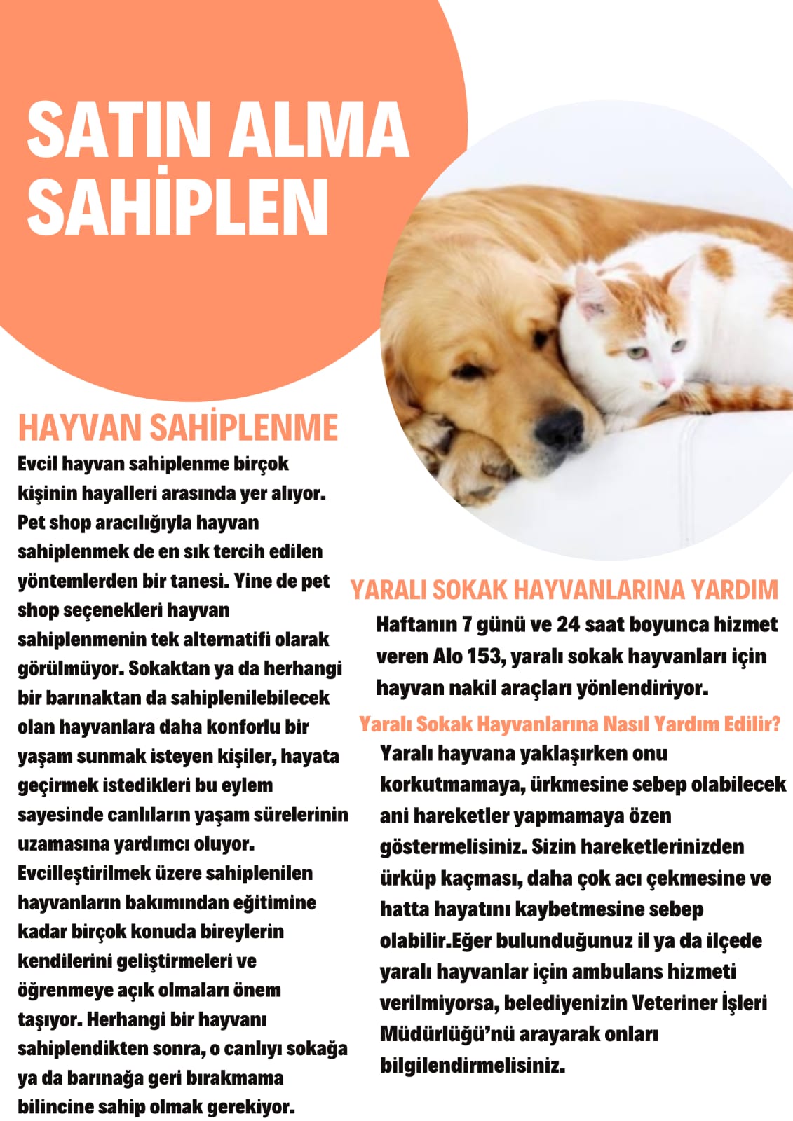 SOKAKTAKİ CAN by yaşarberk - Ourboox.com