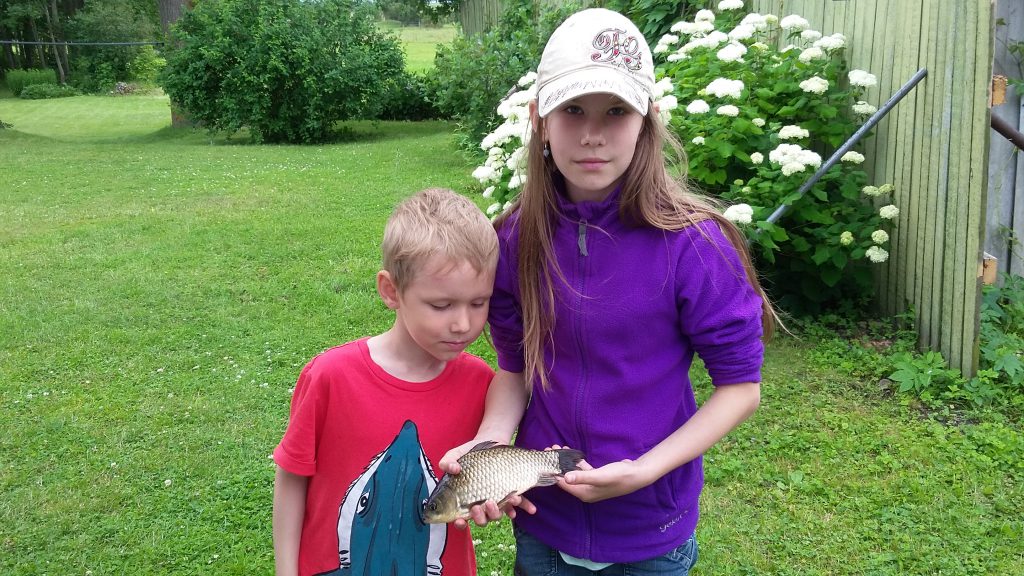 Minu kodu lood by Martin Kuuse - Ourboox.com