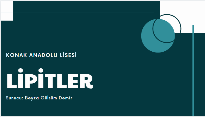 BİYOLOJİ PERFORMANS ÖDEVİ-LİPİTLER by Beyza Gülsüm Demir - Ourboox.com