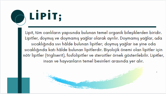 BİYOLOJİ PERFORMANS ÖDEVİ-LİPİTLER by Beyza Gülsüm Demir - Ourboox.com