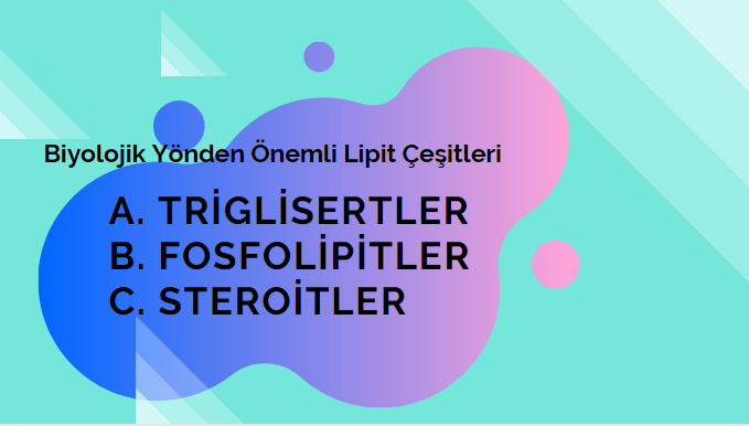 BİYOLOJİ PERFORMANS ÖDEVİ-LİPİTLER by Beyza Gülsüm Demir - Ourboox.com