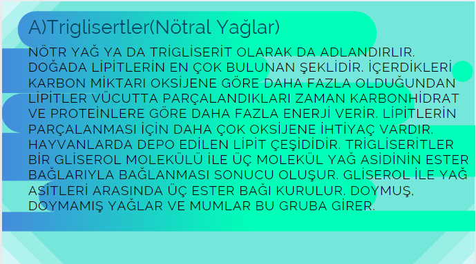 BİYOLOJİ PERFORMANS ÖDEVİ-LİPİTLER by Beyza Gülsüm Demir - Ourboox.com