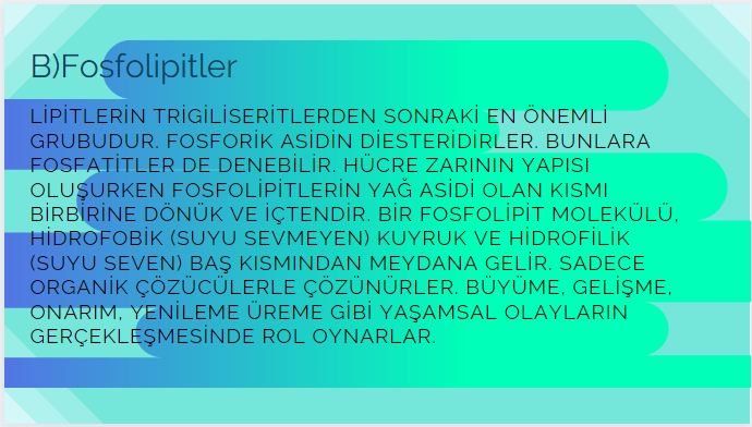 BİYOLOJİ PERFORMANS ÖDEVİ-LİPİTLER by Beyza Gülsüm Demir - Ourboox.com