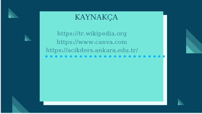 BİYOLOJİ PERFORMANS ÖDEVİ-LİPİTLER by Beyza Gülsüm Demir - Ourboox.com