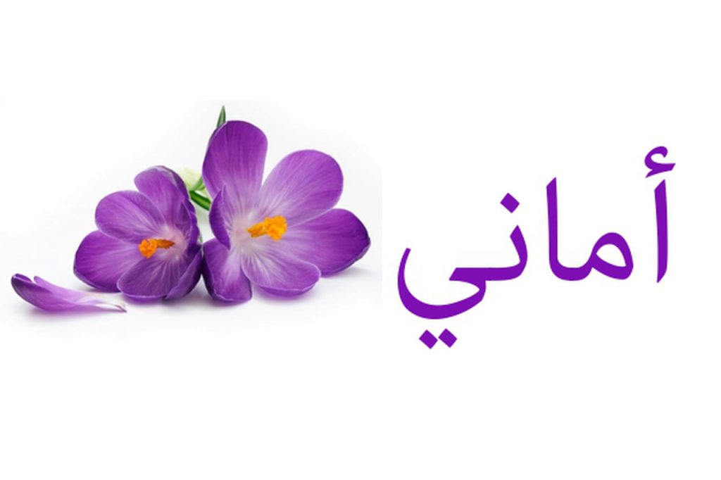 المعلمين الداعمين للنظر by Riham Zaatrah - Ourboox.com