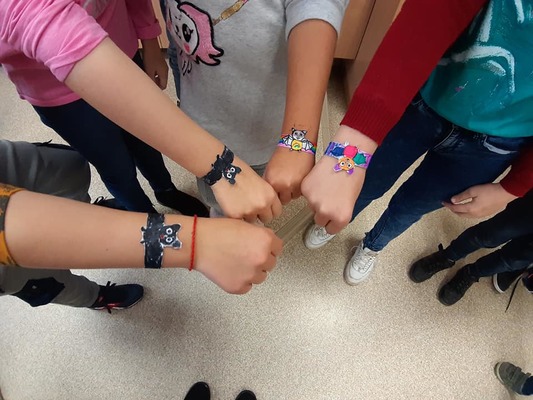 Šikšnosparniai ir mes… by Mokytoja Laura Palivonienė - Ourboox.com