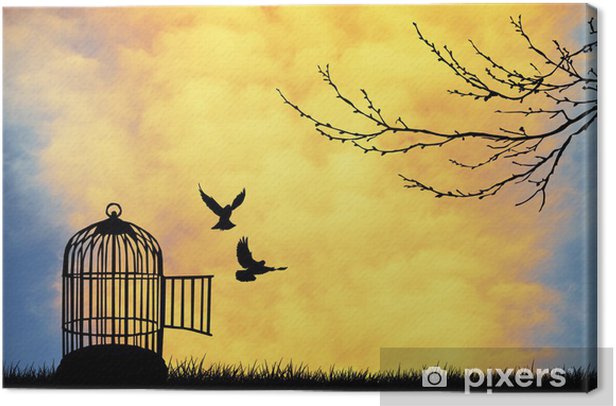 ÖZGÜRLÜK by doruk k - Ourboox.com