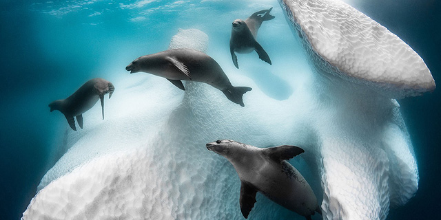 My Life by mariam - Ourboox.com