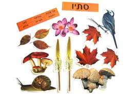 לימוד עברית by amni sirhan - Illustrated by אמנה סרחאן - Ourboox.com