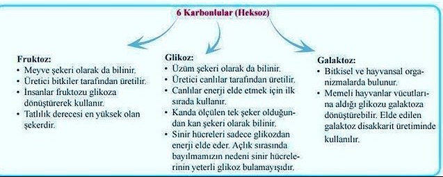 karbonhidratlar by nehir incedere - Ourboox.com