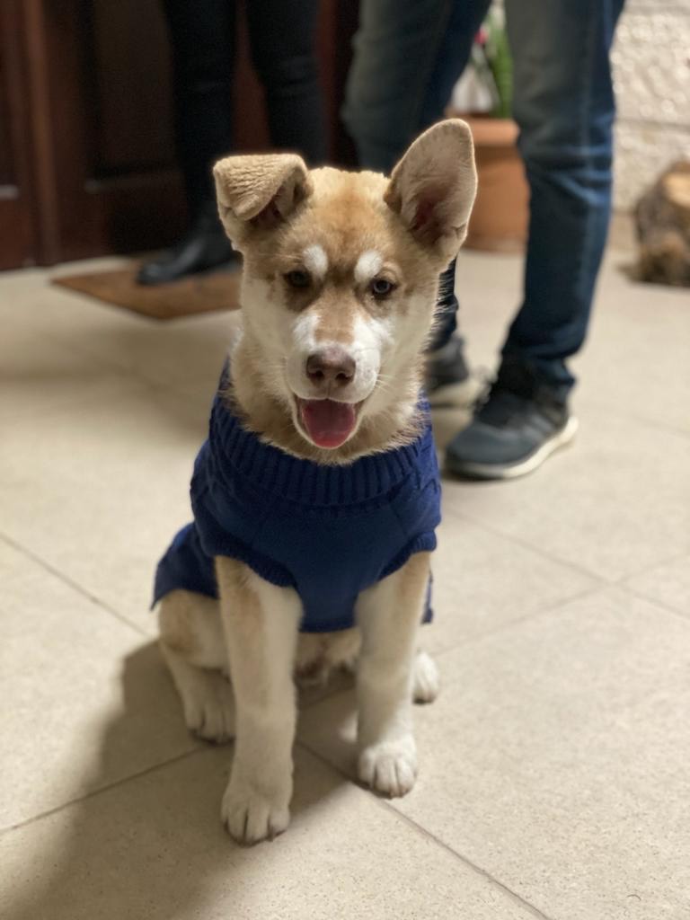 merry baransi by meery baranci - Ourboox.com