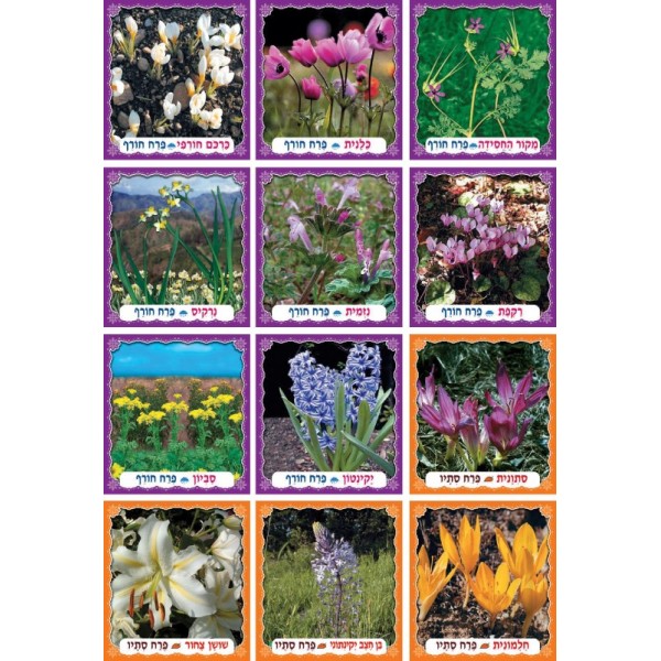 חורף by nsreen - Illustrated by נסרין חגלה  - Ourboox.com