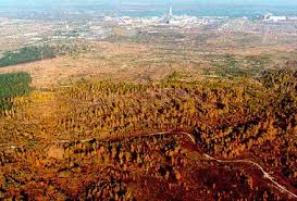 Visiting the Exclusion Zone of Chernobyl by polina lyusiy - Ourboox.com