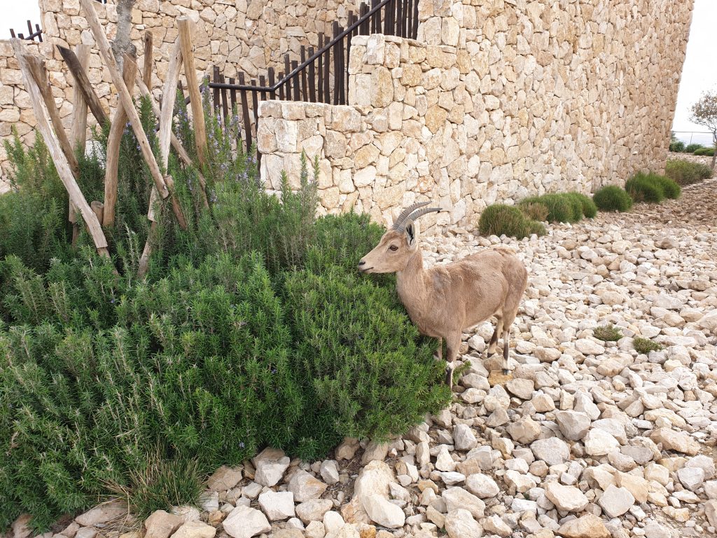 טיול בטבע by OSHRAT - Ourboox.com