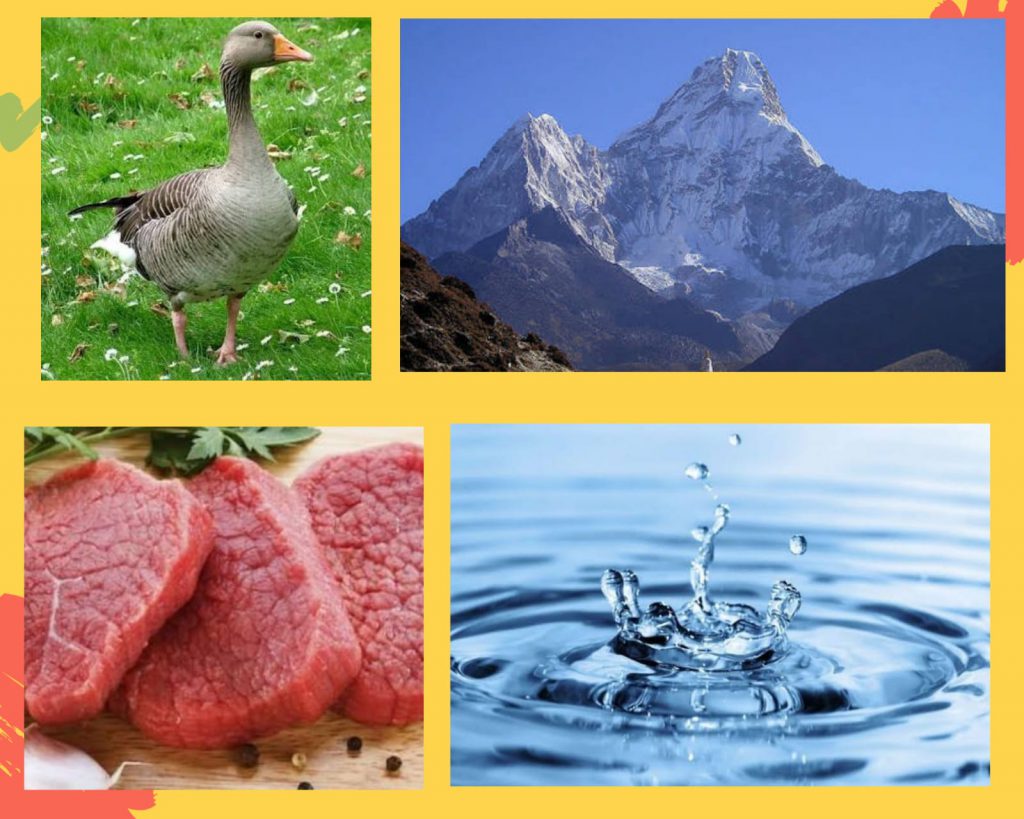 OKULUMDAN EVİME ZEKA OYUNLARI RESFEBE KİTABIMIZ by SEHER UYAR - Illustrated by OKULUMDAN EVİME ZEKA OYUNLARI RESFEBE KİTABI - Ourboox.com