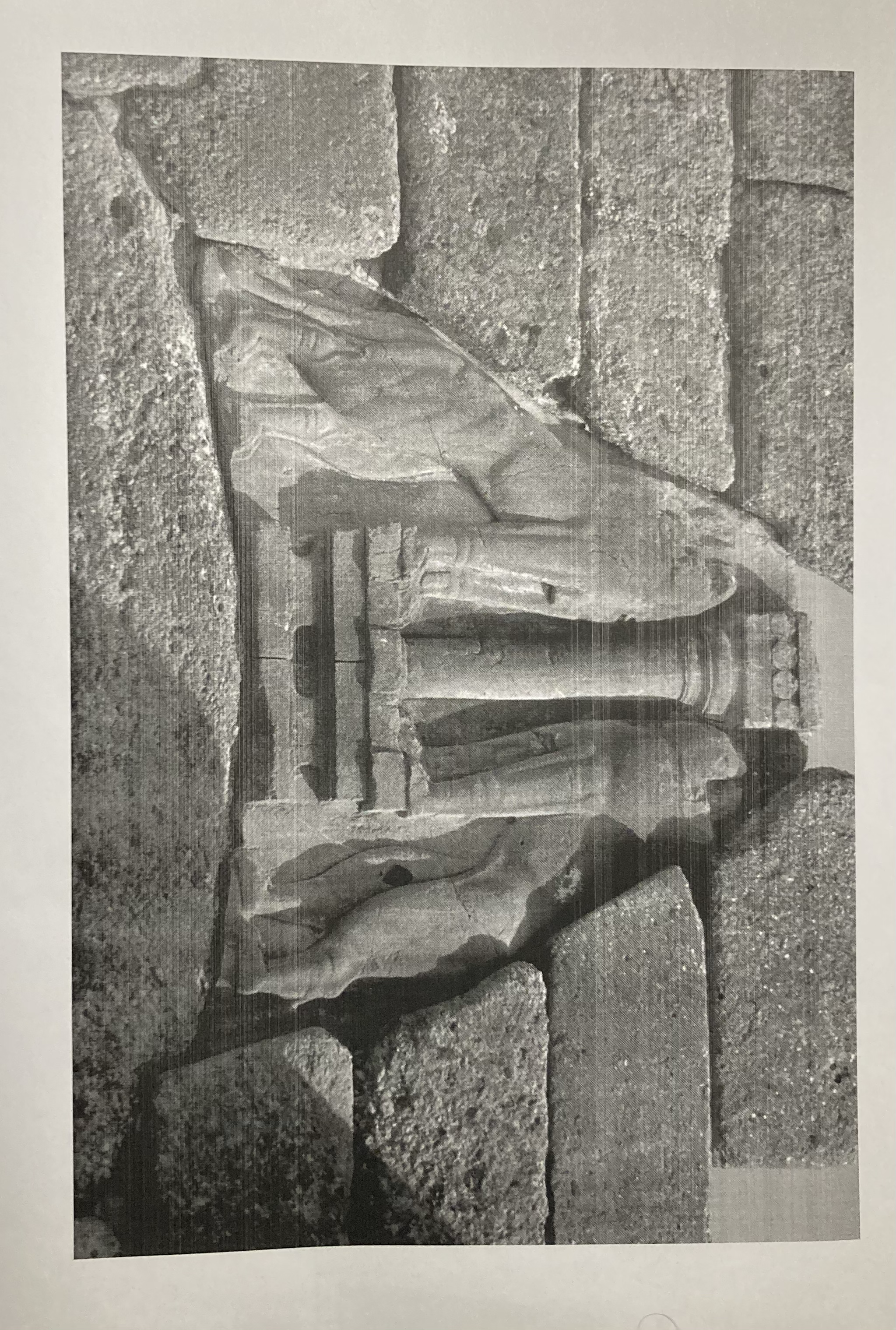 mappe mentali by francesco cornacchia - Illustrated by francesco cornacchia - Ourboox.com