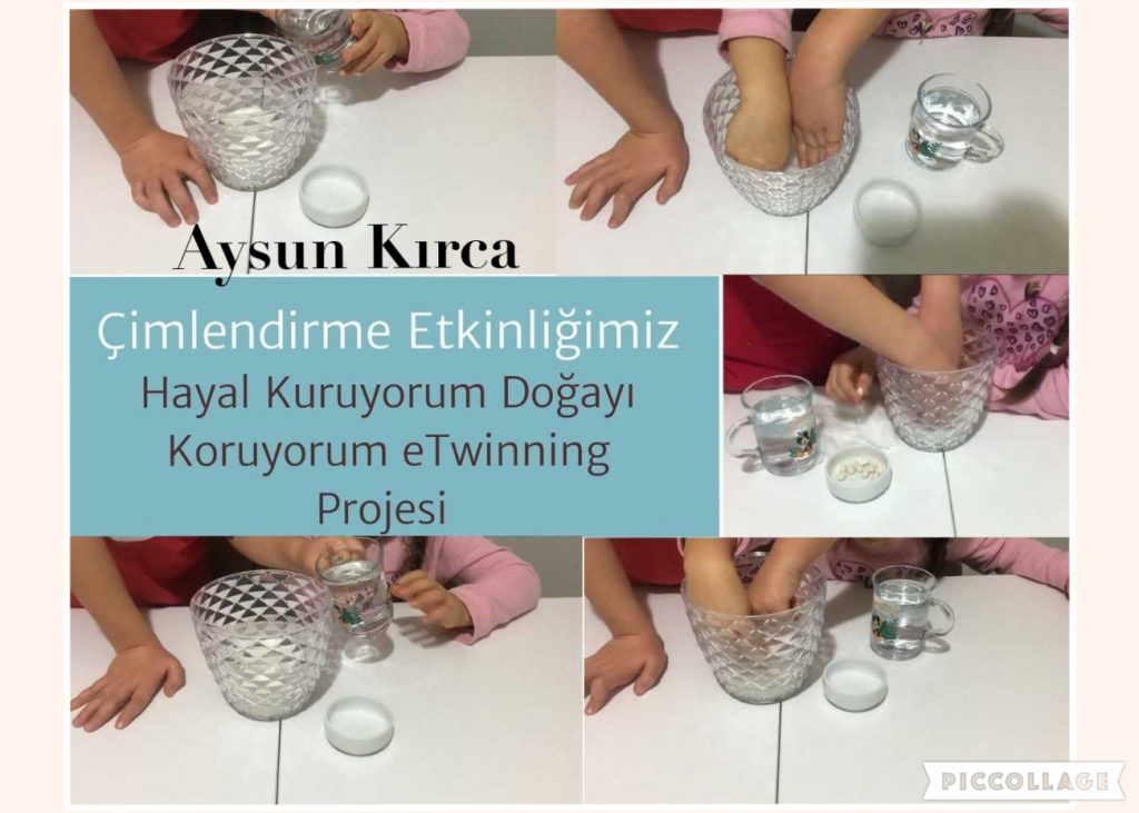 Hayal Kuruyorum Doğayı Koruyorum Aralık Ayı Çalışmalarımız by Fatma Rüzgar - Ourboox.com