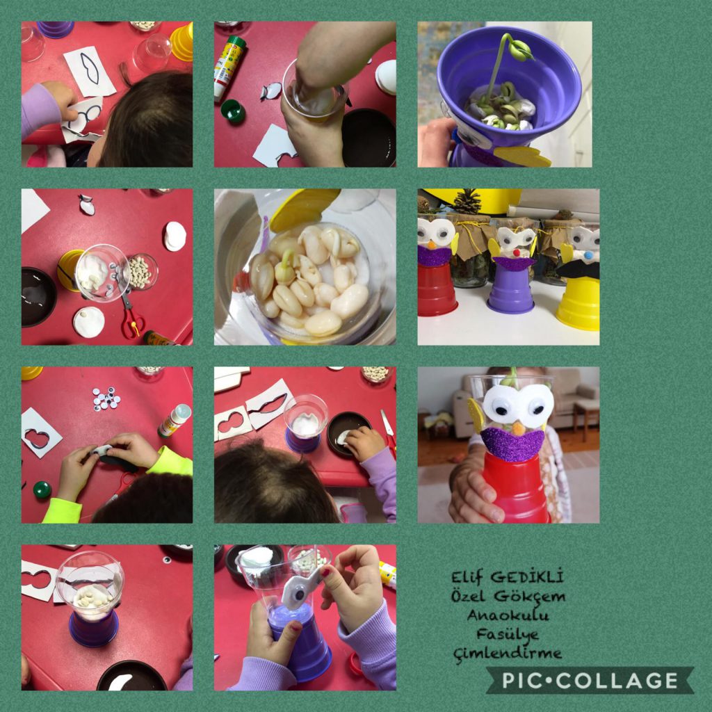 Hayal Kuruyorum Doğayı Koruyorum Aralık Ayı Çalışmalarımız by Fatma Rüzgar - Ourboox.com