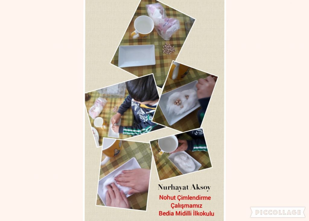 Hayal Kuruyorum Doğayı Koruyorum Aralık Ayı Çalışmalarımız by Fatma Rüzgar - Ourboox.com