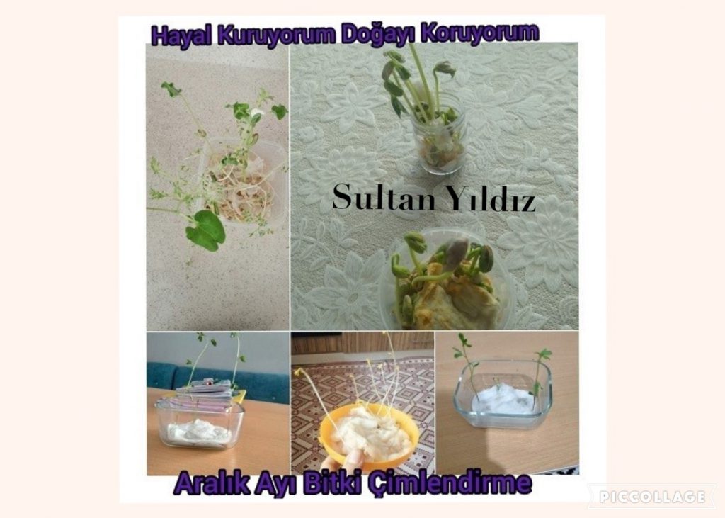 Hayal Kuruyorum Doğayı Koruyorum Aralık Ayı Çalışmalarımız by Fatma Rüzgar - Ourboox.com