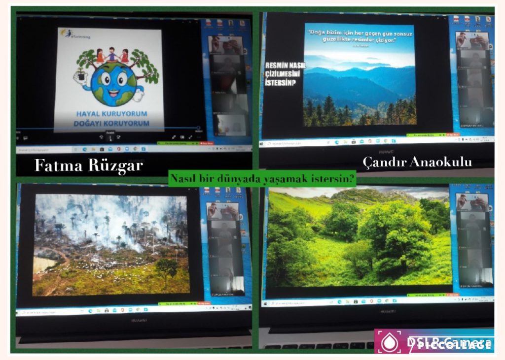 Hayal Kuruyorum Doğayı Koruyorum Aralık Ayı Çalışmalarımız by Fatma Rüzgar - Ourboox.com