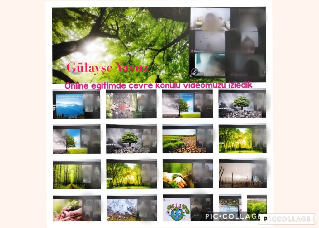 Hayal Kuruyorum Doğayı Koruyorum Aralık Ayı Çalışmalarımız by Fatma Rüzgar - Ourboox.com