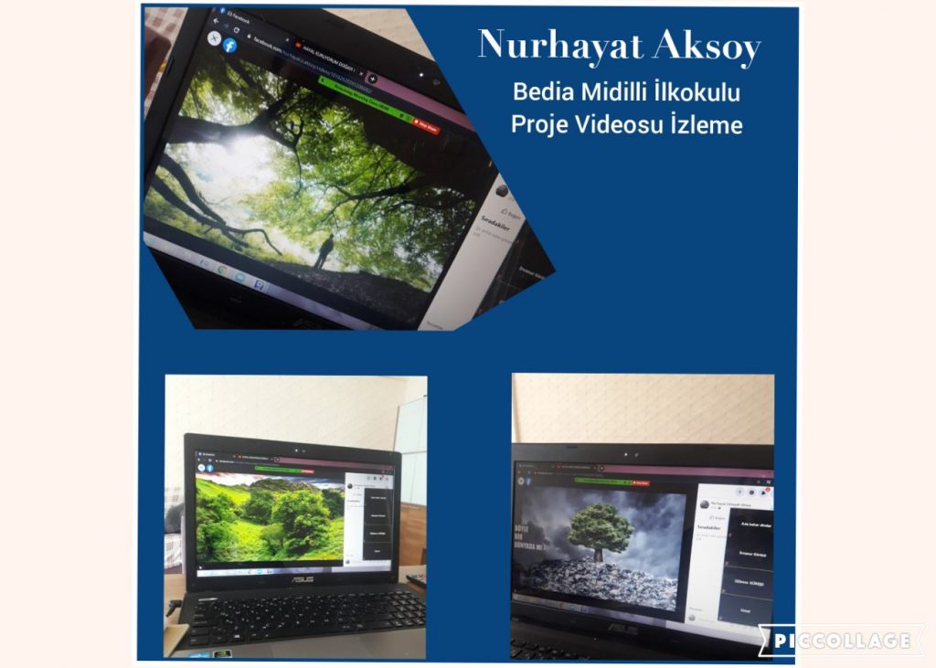 Hayal Kuruyorum Doğayı Koruyorum Aralık Ayı Çalışmalarımız by Fatma Rüzgar - Ourboox.com