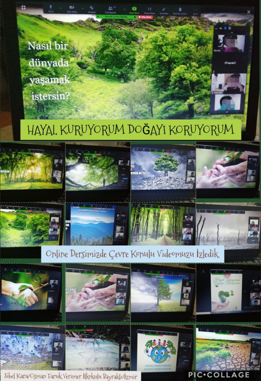 Hayal Kuruyorum Doğayı Koruyorum Aralık Ayı Çalışmalarımız by Fatma Rüzgar - Ourboox.com